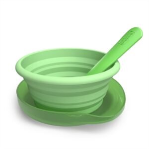 COLLAPSIBLE SILICONE DISH WITH CASE